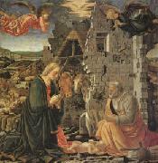 Master of the Louvre Nativity The Nativity (mk05) painting